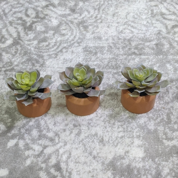 Target Other - Set of 3 decorative faux succulents